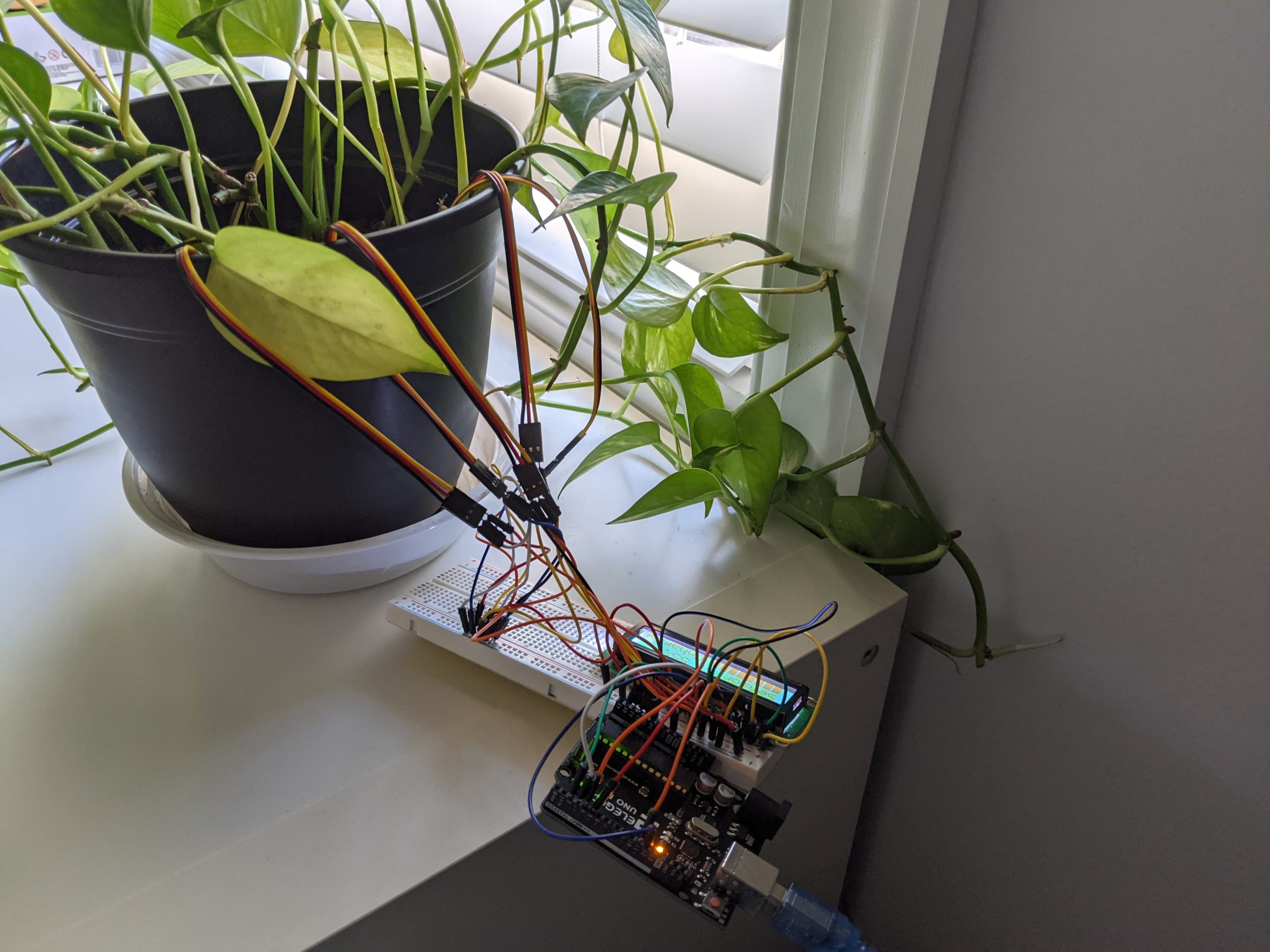 PXL_20241111_192507539