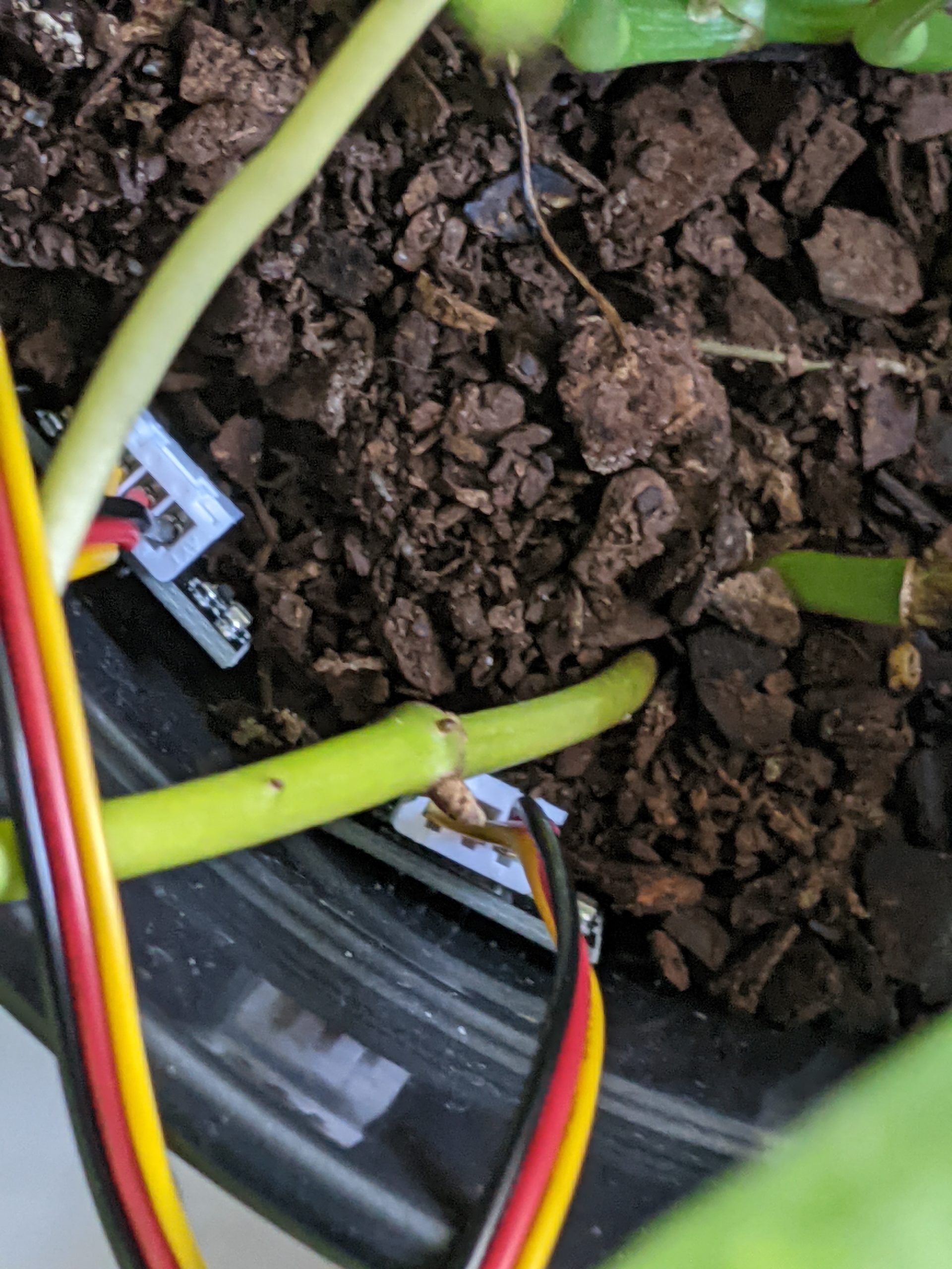 PXL_20241111_192548542.MP